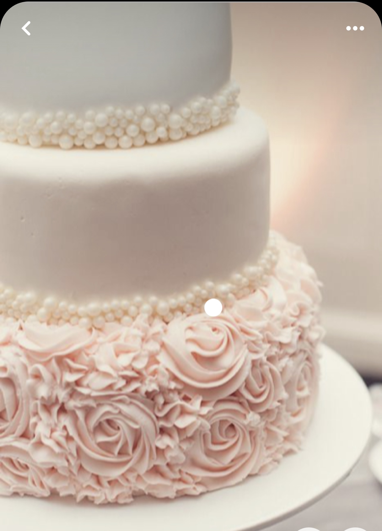 ***CUSTOM*** Mandy & Aaron 3 23 24 Wedding Final - Image 3